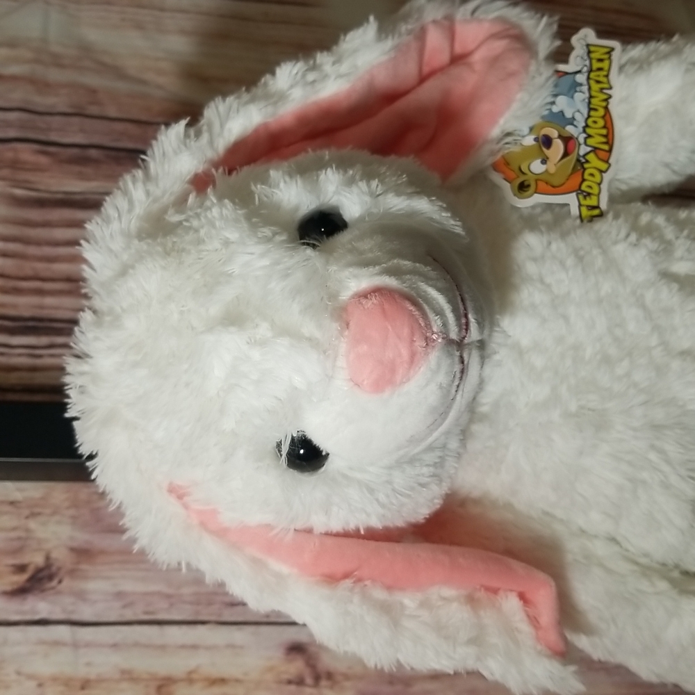Teddy Mountain Rabbit - Picture 2 of 4
